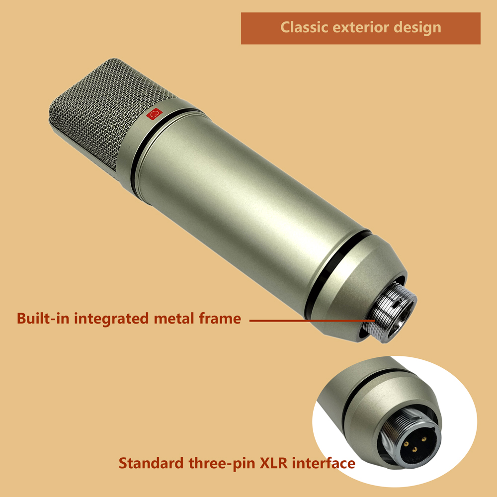 Condenser Microphone Professio - огляд і ціна Shure Mic Sm58